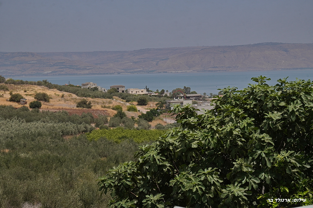 וילה ג'נסיס בוטיק 

 6