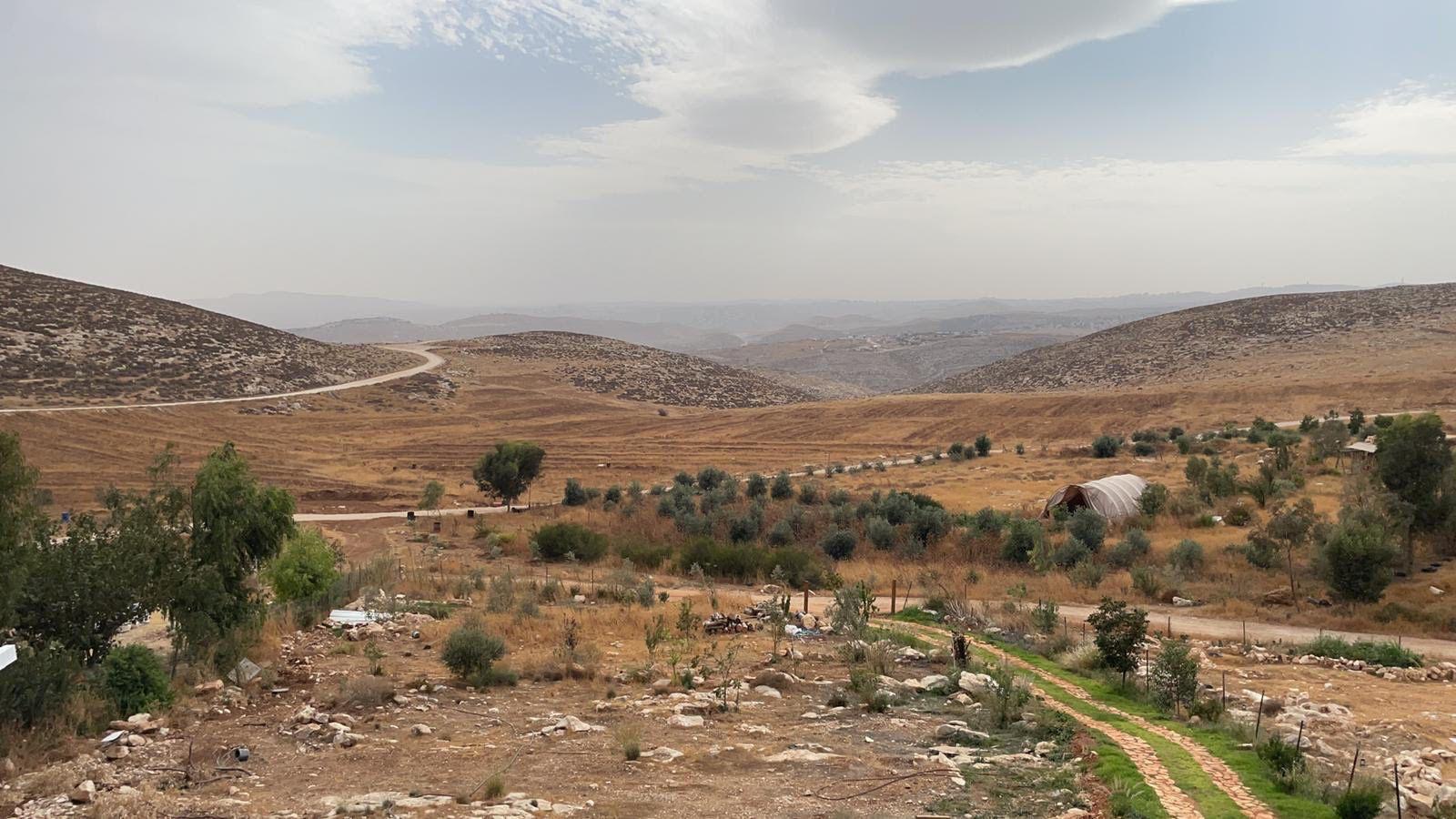 הבית הצהוב 9