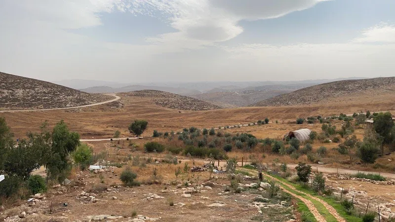 הבית הצהוב 10