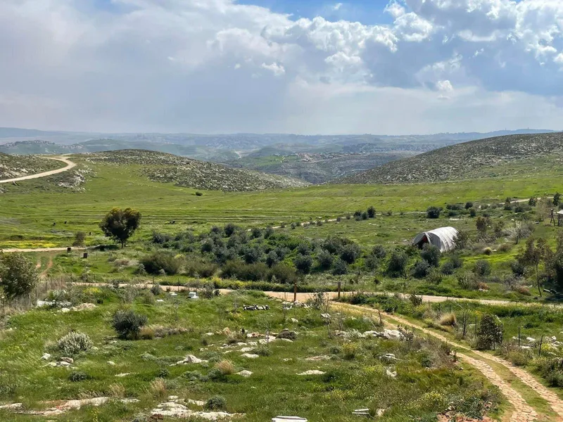 הבית הצהוב 9