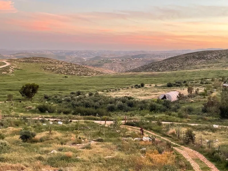 הבית הצהוב 11