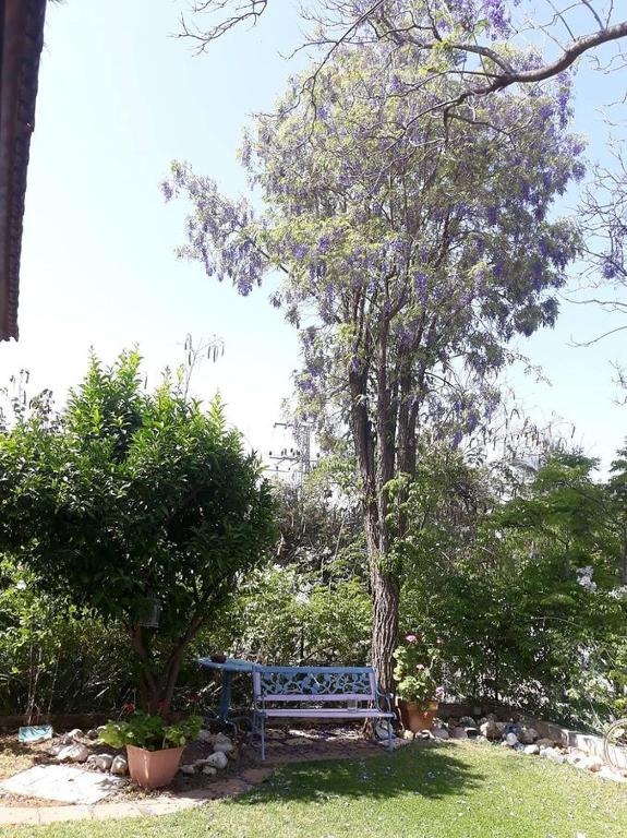 בארוד אירוח באווירה כפרית 15