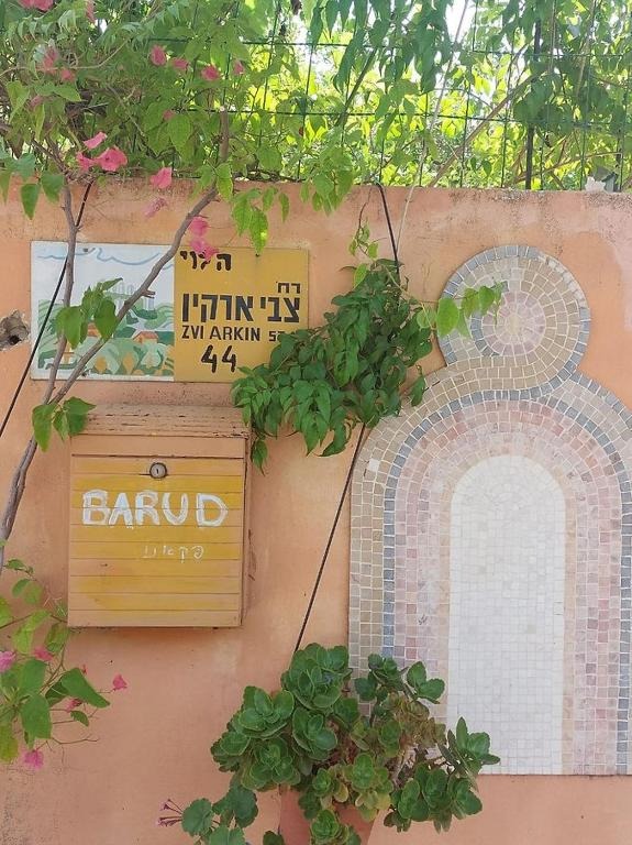 בארוד אירוח באווירה כפרית 14