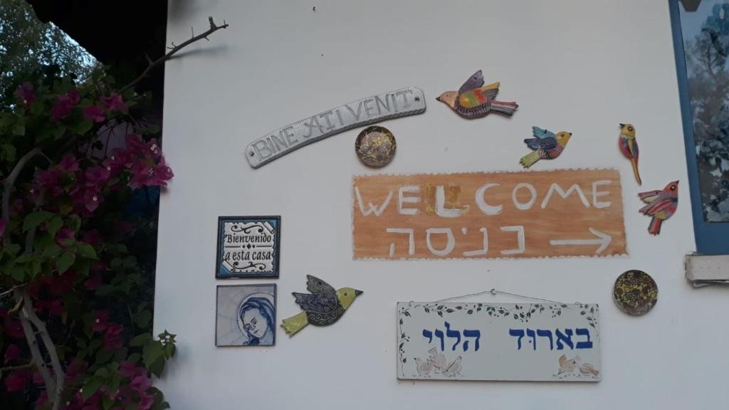 בארוד אירוח באווירה כפרית 5