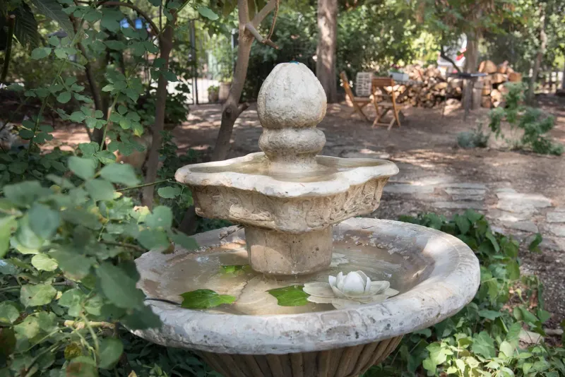 וילה וויו — עמוקה 7