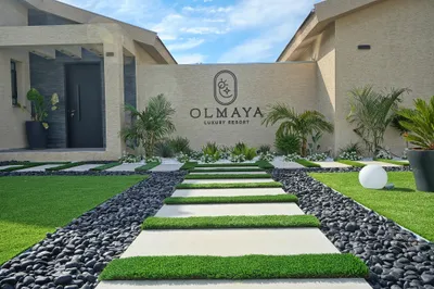 עולמיה - Olmaya — כלנית