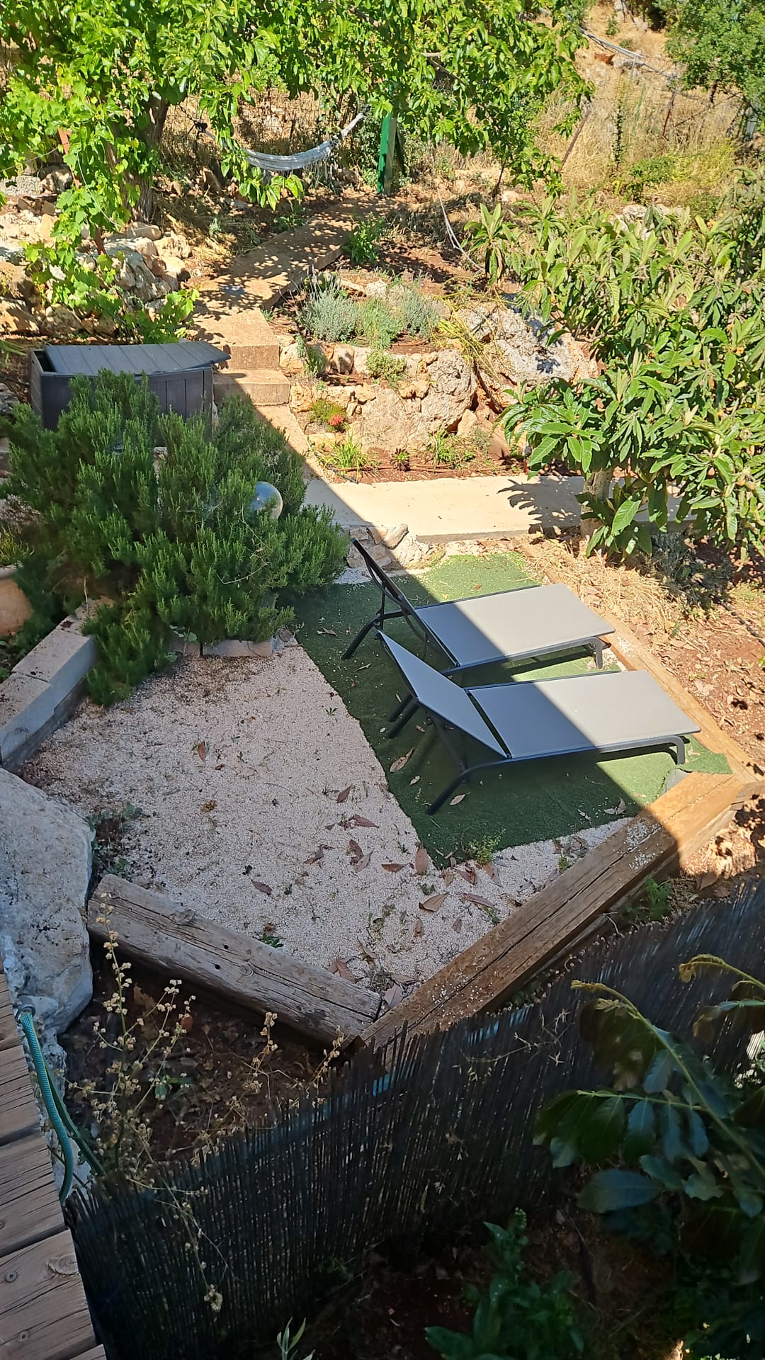 אדום לבן 33