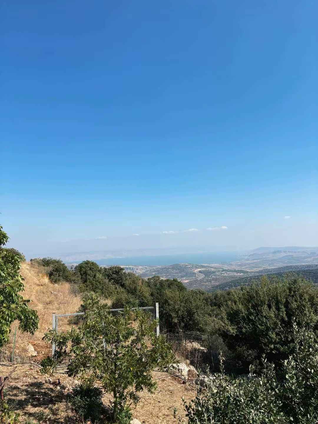 אדום לבן 54