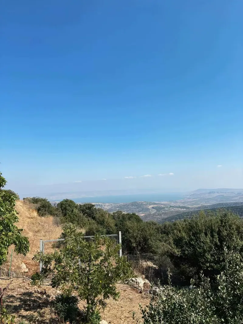אדום לבן 55
