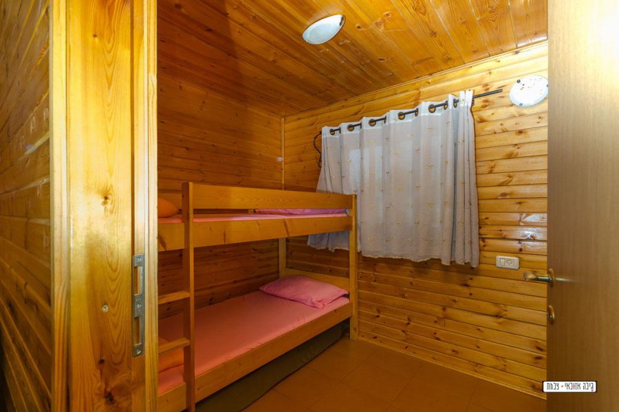 טבע הבריאה 21