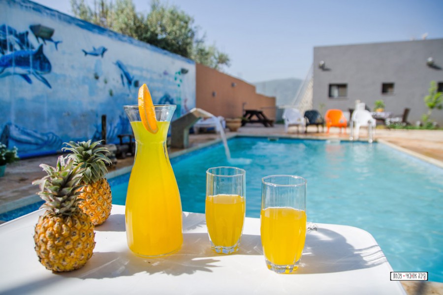 טבע הבריאה 19