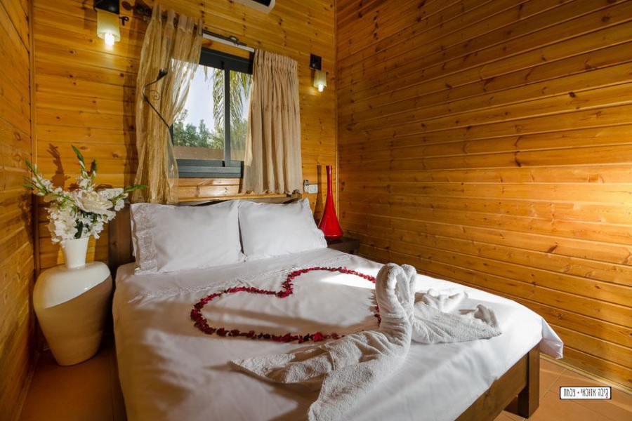 טבע הבריאה 20