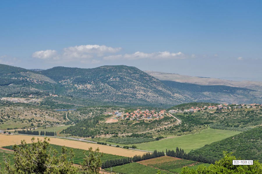 טבע הבריאה 38