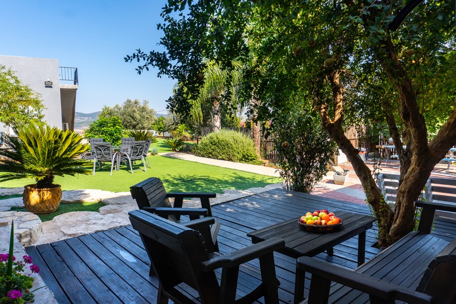 טבע הבריאה 4