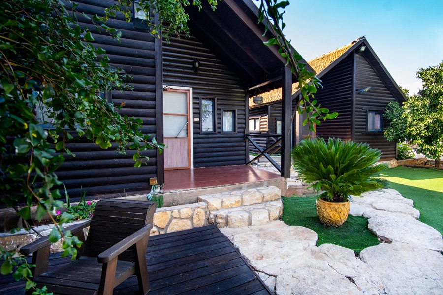 טבע הבריאה 8