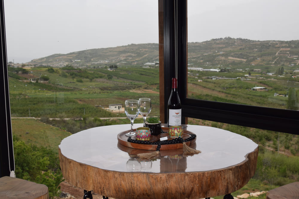  Four Seasons View 13