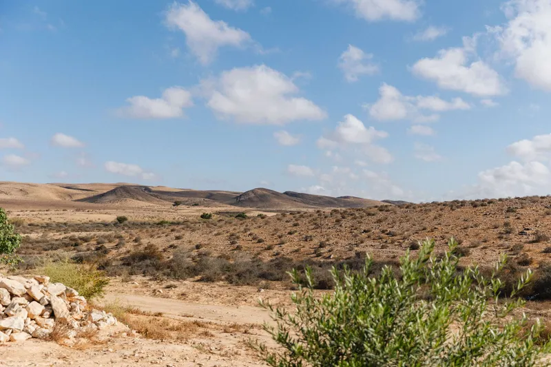 אבן על הנחל 34