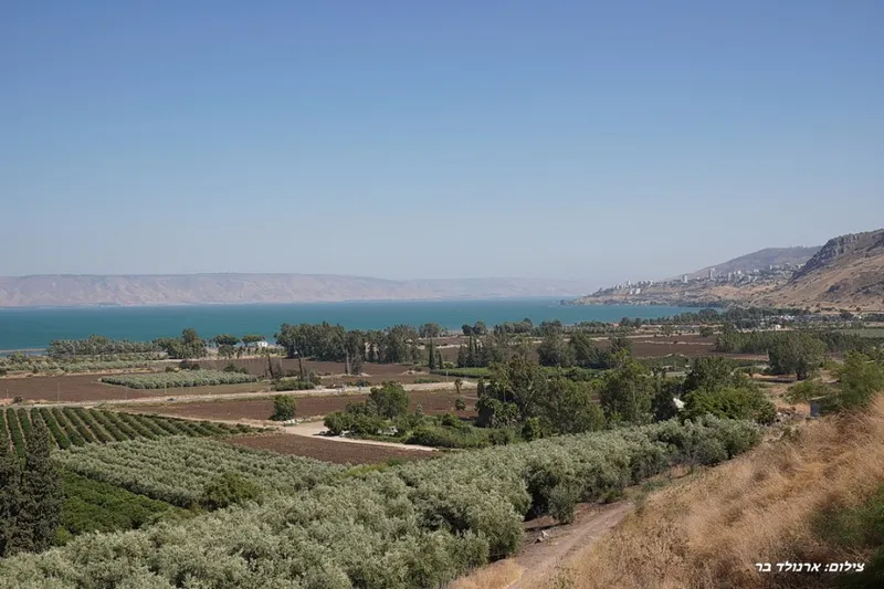 בראשית כנרת 12