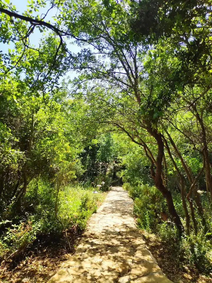 תדר אהבה 36