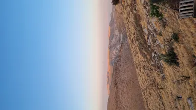 אור מדבר  39