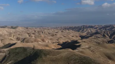 אור מדבר  33