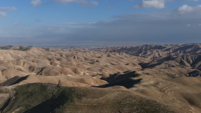 אור מדבר  17