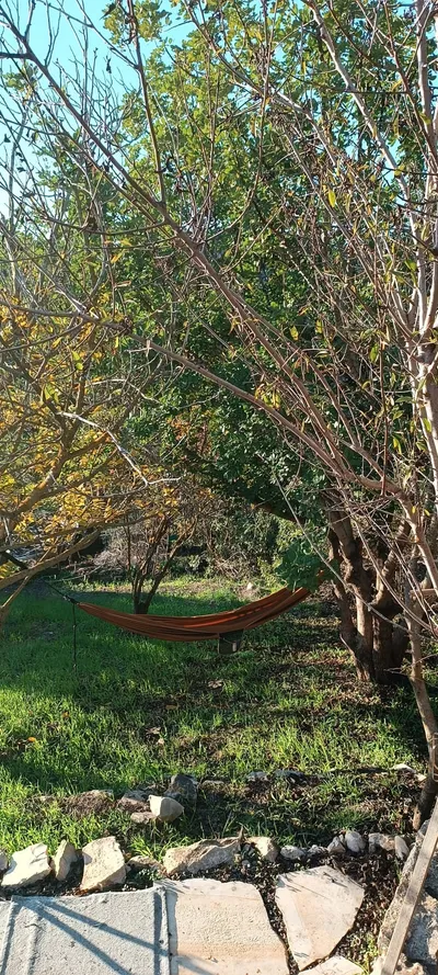 חכורה קדיתא 17
