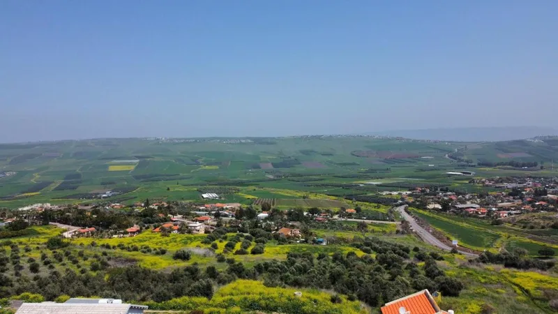 הקונטיינר 33